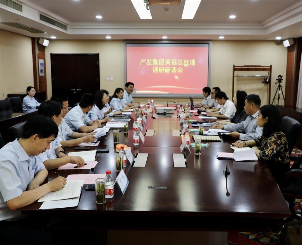 集團黨委副書記、總經(jīng)理黃蓓帶隊調(diào)研濟南市工程咨詢院