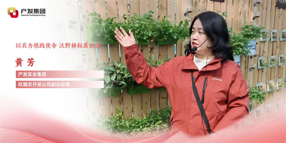 巾幗綻芳華 | 產(chǎn)發(fā)實業(yè)集團權(quán)屬農(nóng)開發(fā)公司 黃芳：以農(nóng)為根踐使命，沃野耕耘展擔當